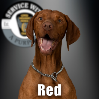 K9 RED - Ohio State Highway Patrol