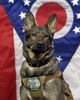 K9 Rena Ohio Division of State Fire Marshal